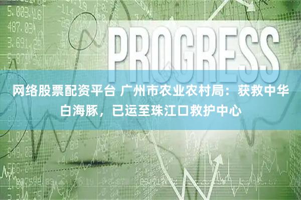 网络股票配资平台 广州市农业农村局：获救中华白海豚，已运至珠江口救护中心