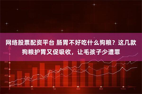 网络股票配资平台 肠胃不好吃什么狗粮？这几款狗粮护胃又促吸收，让毛孩子少遭罪
